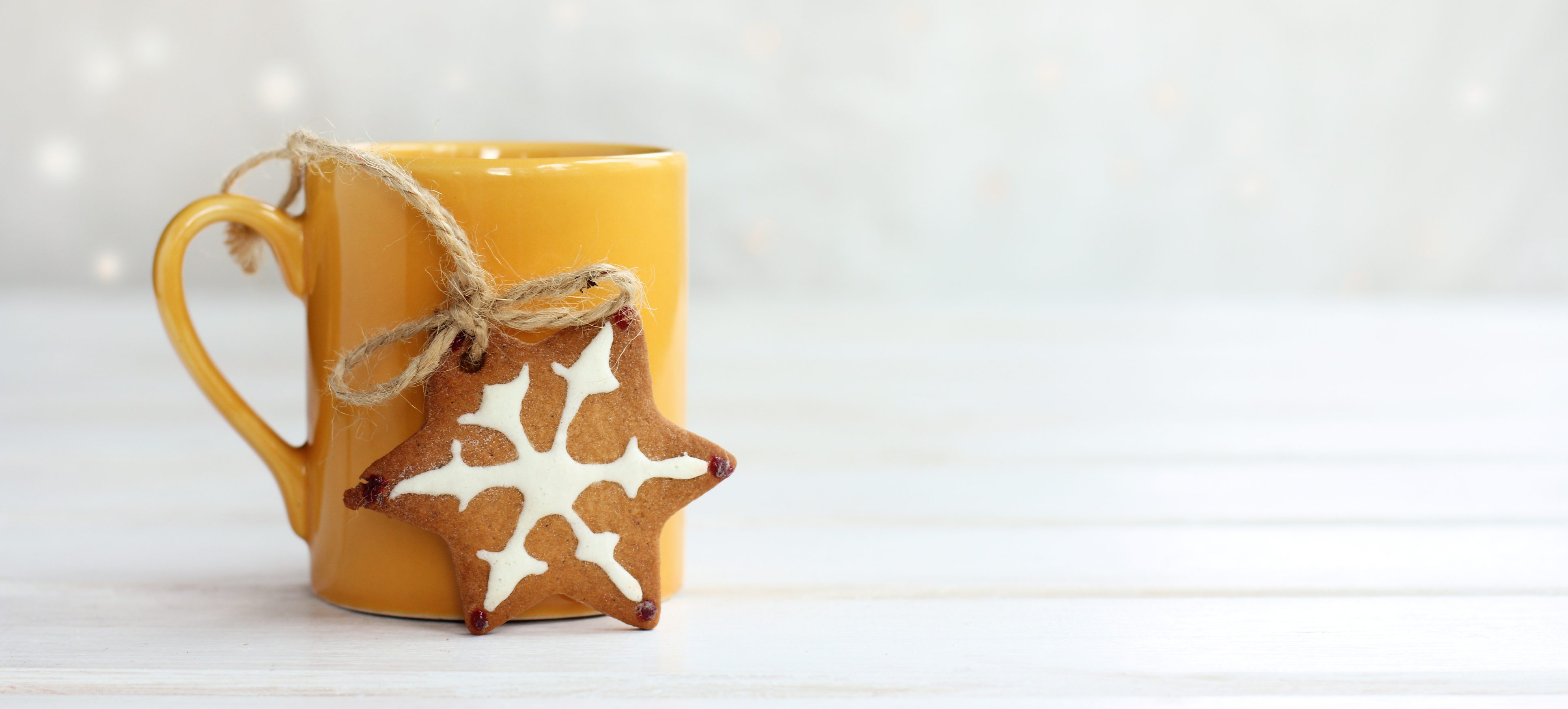 christmas mug with star cookie